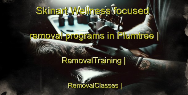 Skinart Wellness-focused removal programs in Plumtree | RemovalTraining | RemovalClasses | SkinartTraining-United Kingdom